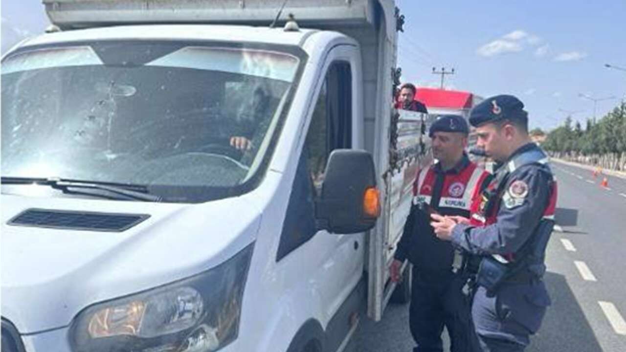 Uşak'ta Kurban Bayramı Öncesi Hayvan Sevklerine Sıkı Denetim