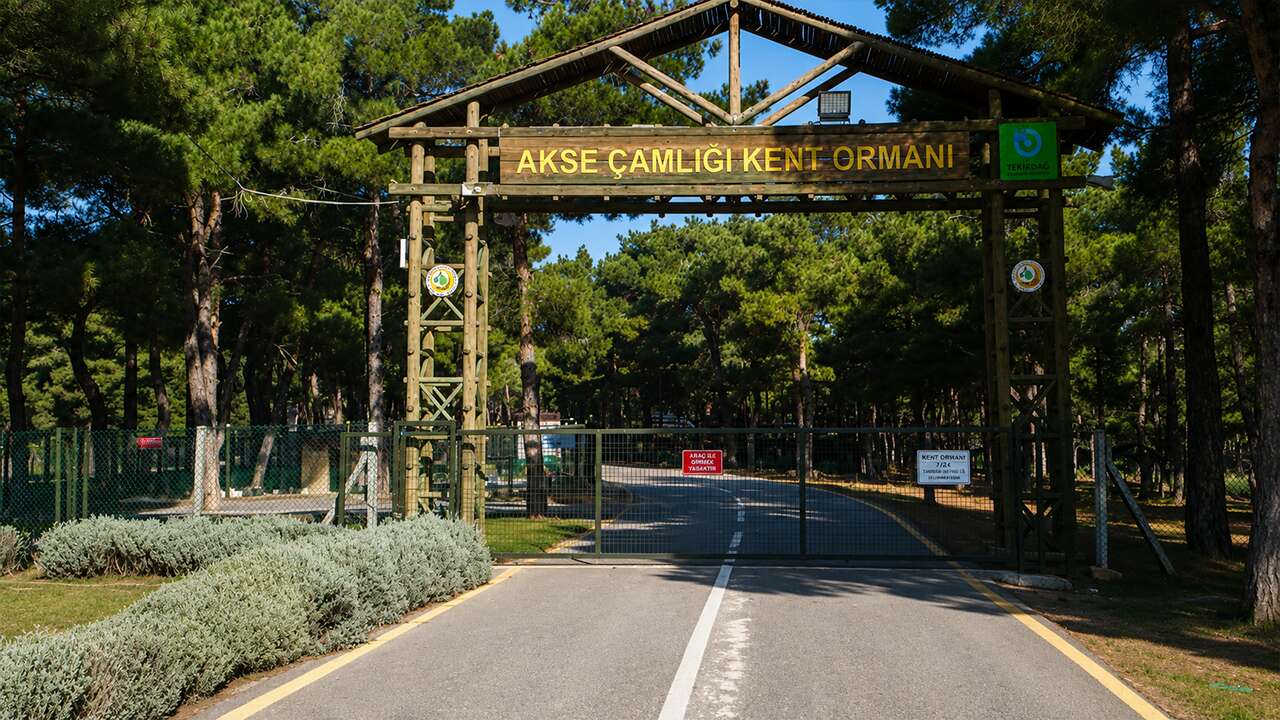 Kavgaya müdahale eden güvenlik görevlisi bıçakla yaralandı