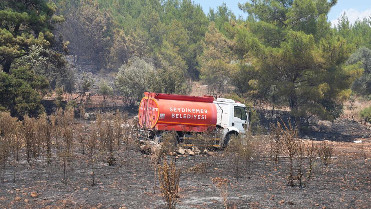 Muğla'da orman yangını kontrol altına alındı