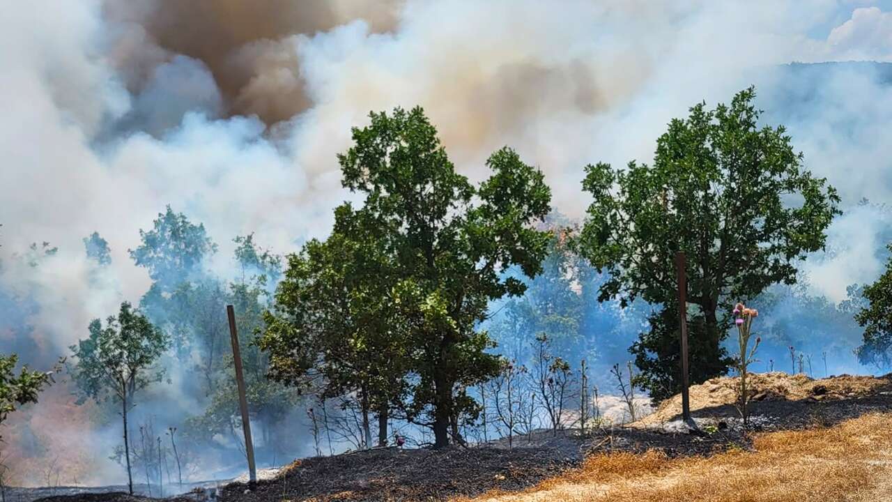 Şaphane de çıkan orman yangını kontrol altına alındı