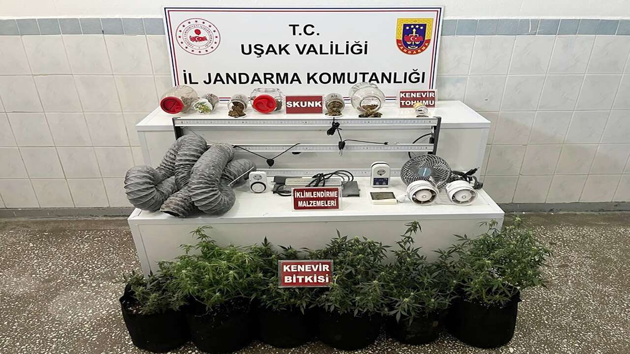 Uşak’ta ev baskınında skunk ve kenevir ele geçirildi