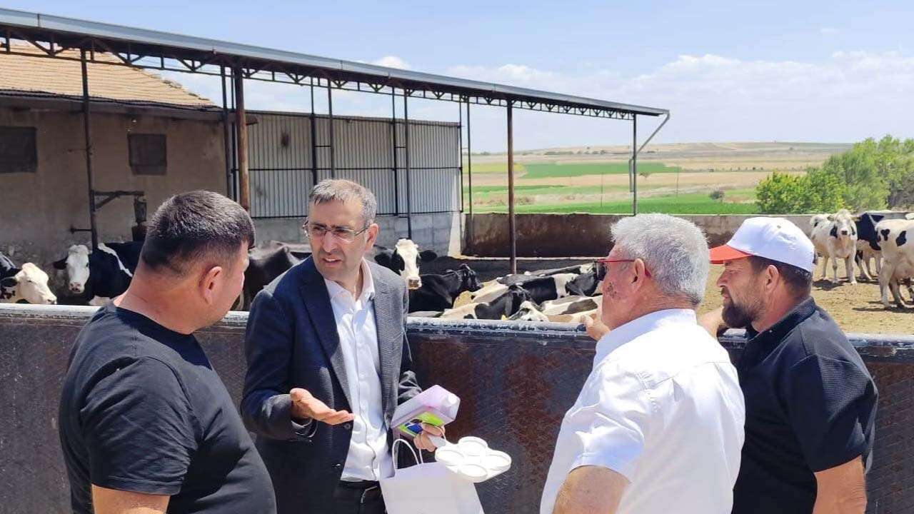 Uşak’ta Büyükbaş Hayvancılık İşletmelerine Saha Ziyareti
