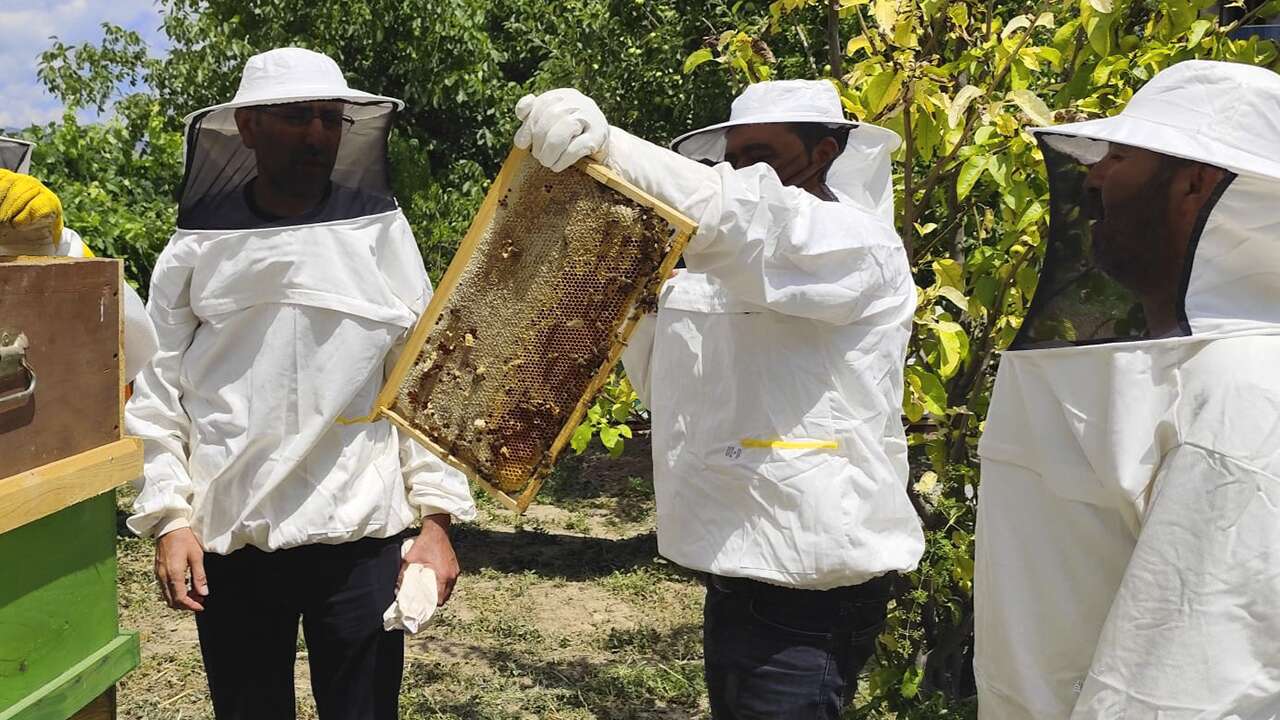 Uşak’ta 12 Kovandan 140 Kovana Uzanan Başarı Hikayesi