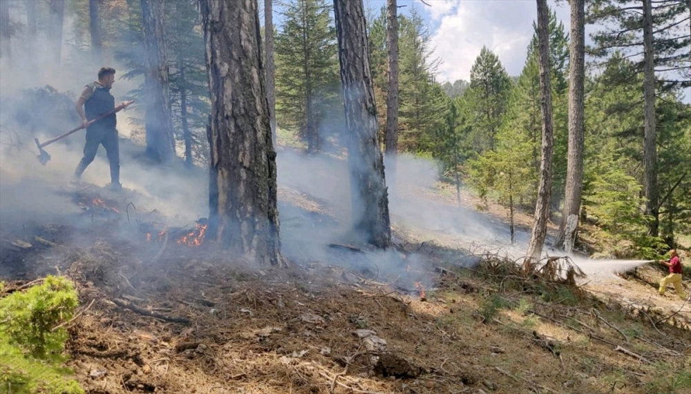 Muğla'da 3 haftada yıldırım kaynaklı 28 orman yangını çıktı