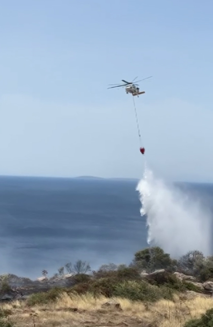 Bodrum'da makilik alanda çıkan yangın söndürüldü