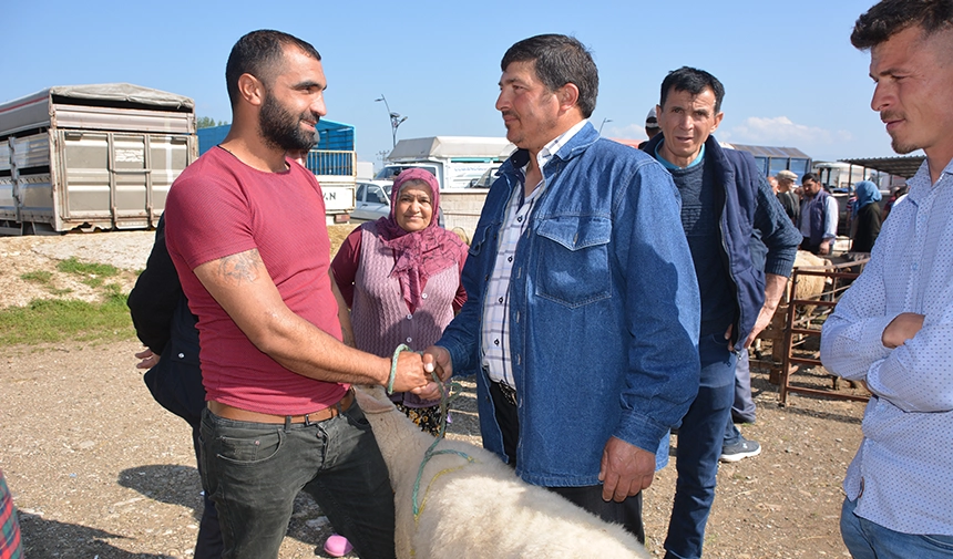 Hayvan Pazarında Kurbanlıklar Görücüye Çıktı