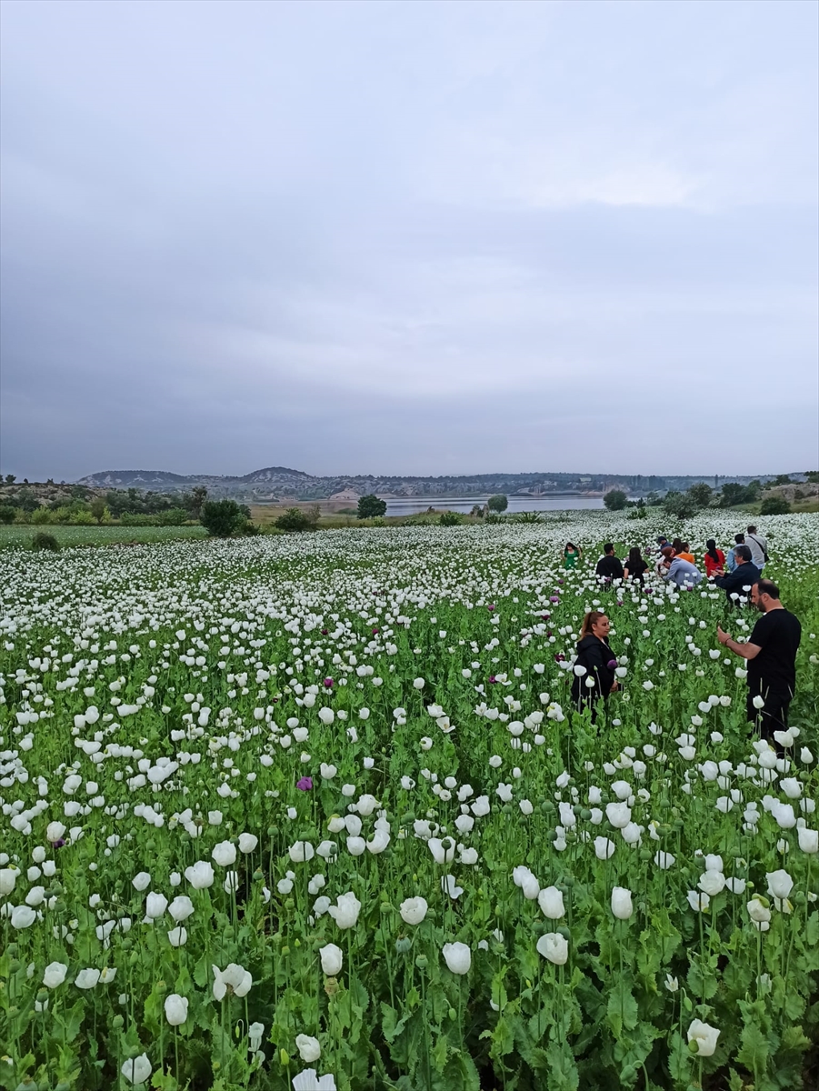 Frig Vadisi'nde foto safari etkinliği gerçekleştirildi