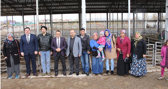 Banazlı "Genç Çiftçilere" 238 Koyun Dağıtıldı