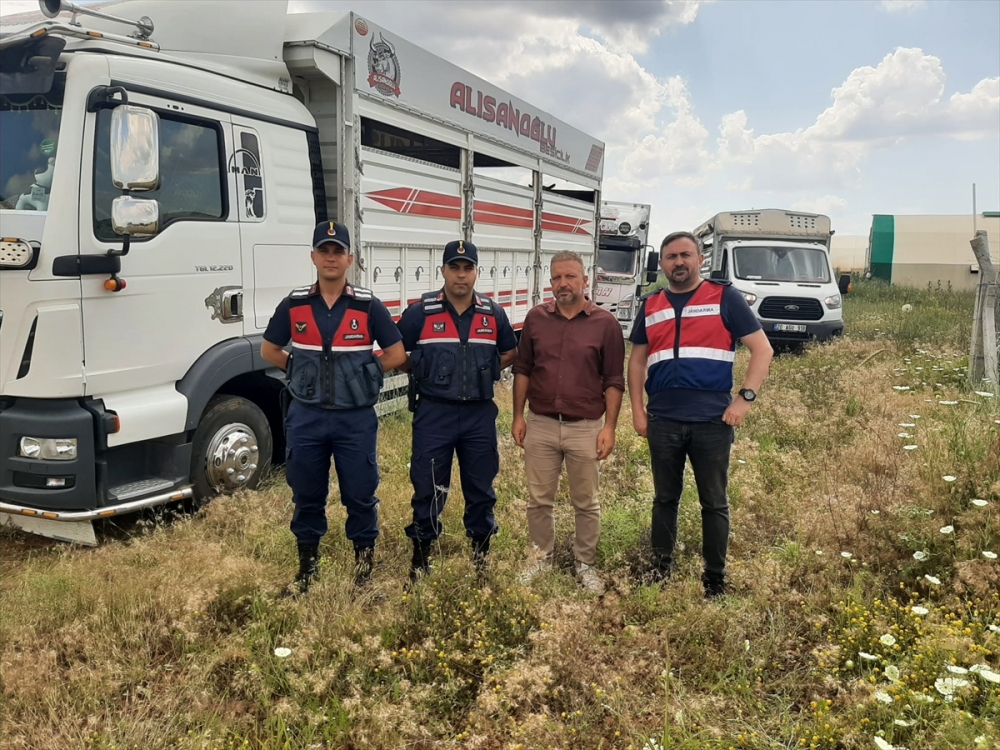Denizli'de çalıştığı çiftlikteki hayvanları çalarak satan kişi tutuklandı