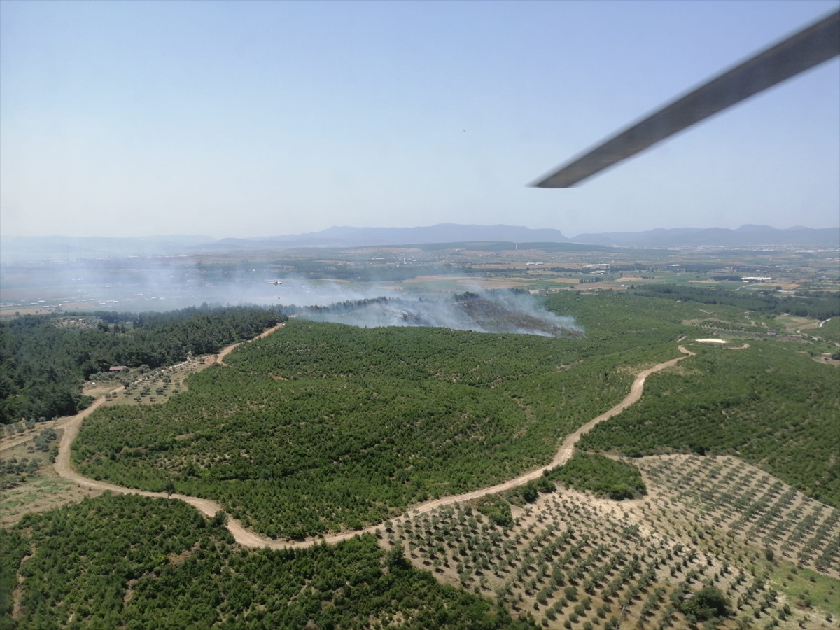 İZMİR - Buca'da çıkan orman yangını kontrol altına alındı (3)