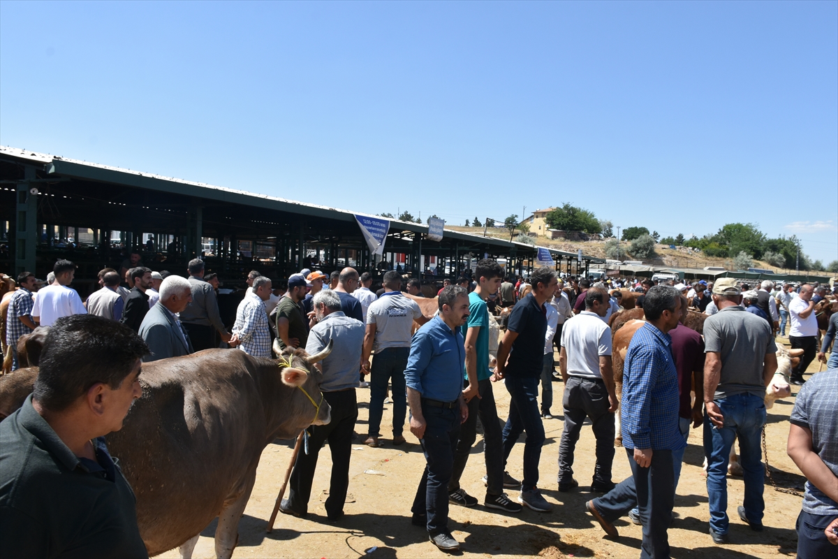 MALATYA - Kurban pazarlarında arife hareketliliği