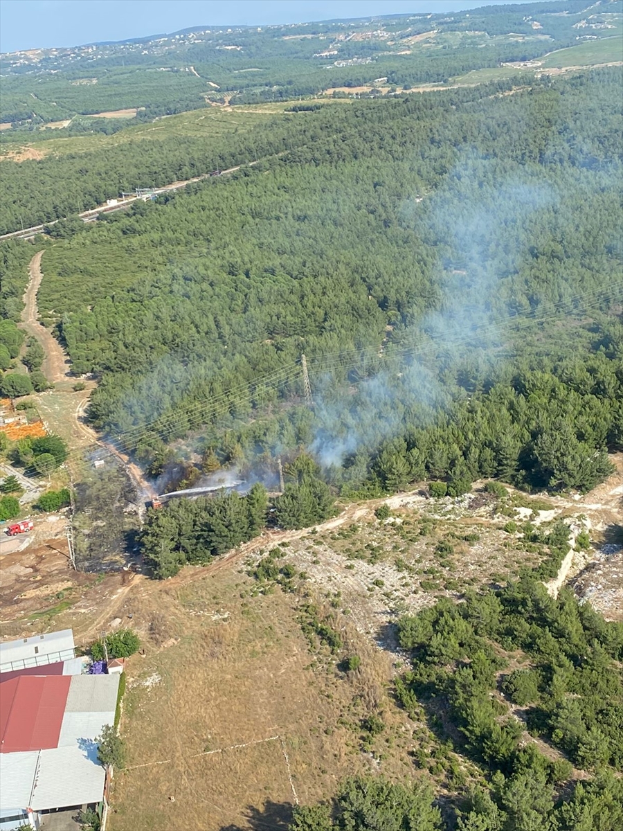 İzmir'de çıkan orman yangını kontrol altına alındı