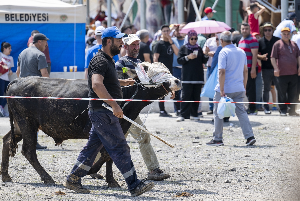 ANKARA - Kurban pazarında kaçan boğa çevredekilere zor anlar yaşattı