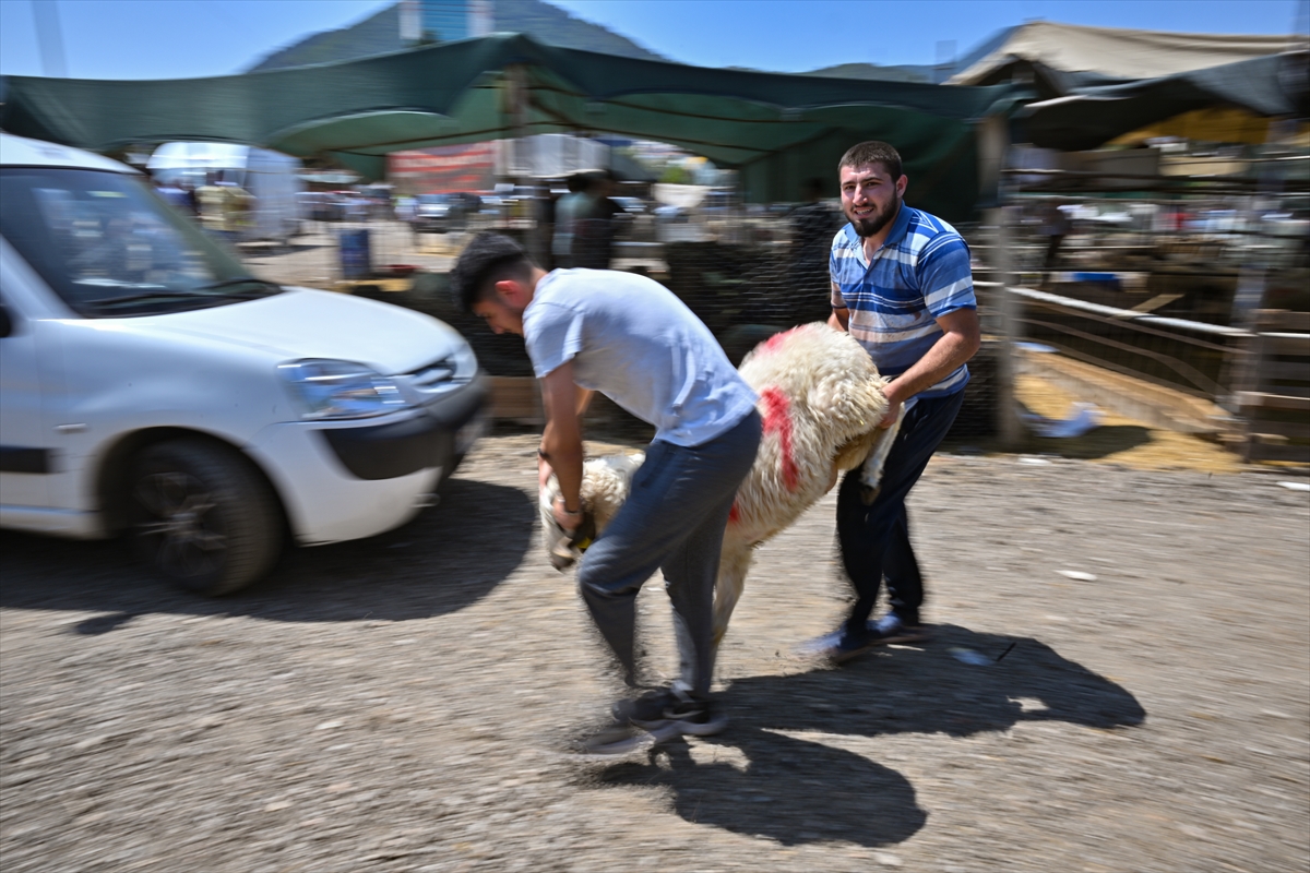 İZMİR - Hayvan pazarlarında kurban pazarlıkları devam ediyor