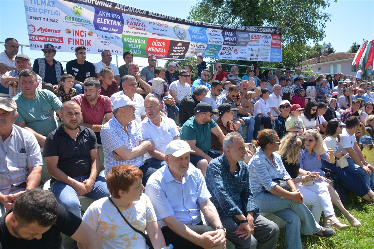 DÜZCE - Geleneksel Beyören Köyü Karakucak Bayram Güreşleri'nde Kazım Şan başpehlivan oldu