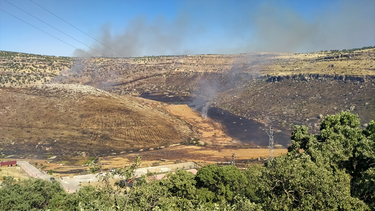 DİYARBAKIR - Tarlada başlayıp bir bahçeye sıçrayan yangın hasara neden oldu