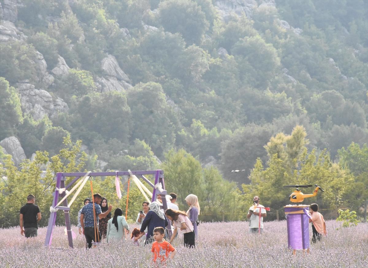 ADANA - "Feke Tapan 2. Turizm ve Lavanta Festivali" düzenlendi