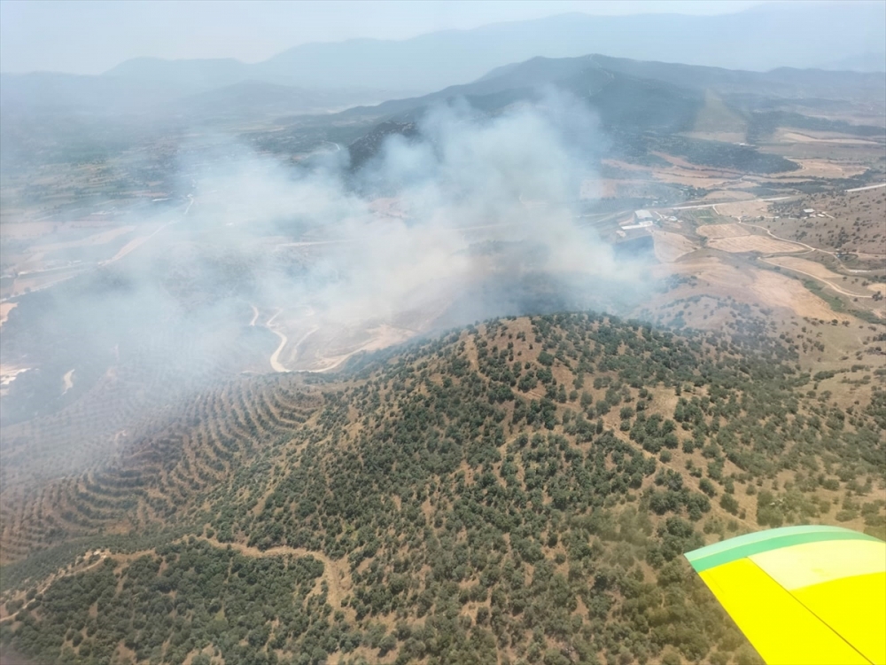 İzmir'de tarlada başlayan ve bozuk ormana sıçrayan yangına müdahale ediliyor
