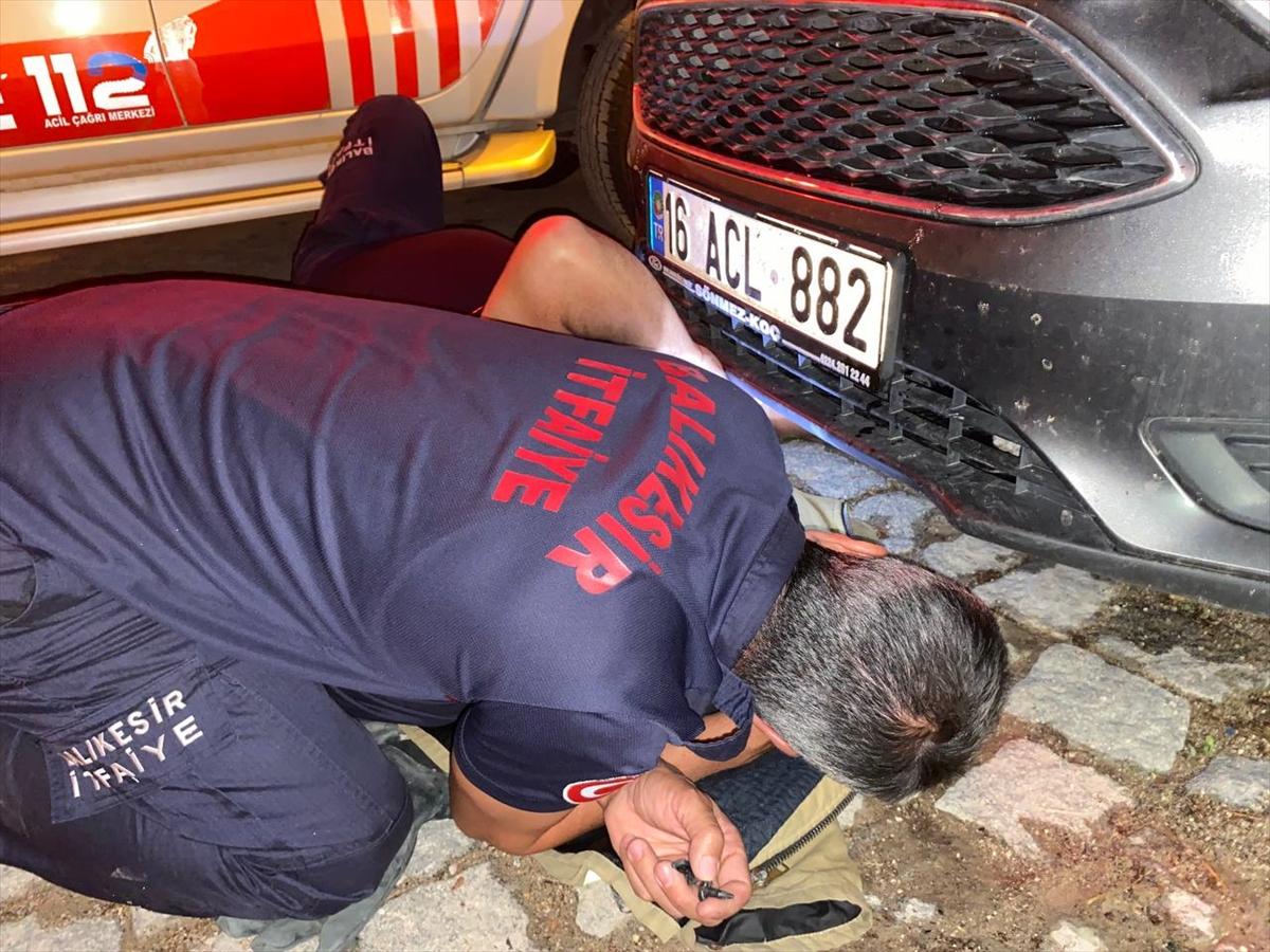 BALIKESİR - Otomobilin motor bölümünde bir gün mahsur kalan kedi kurtarıldı