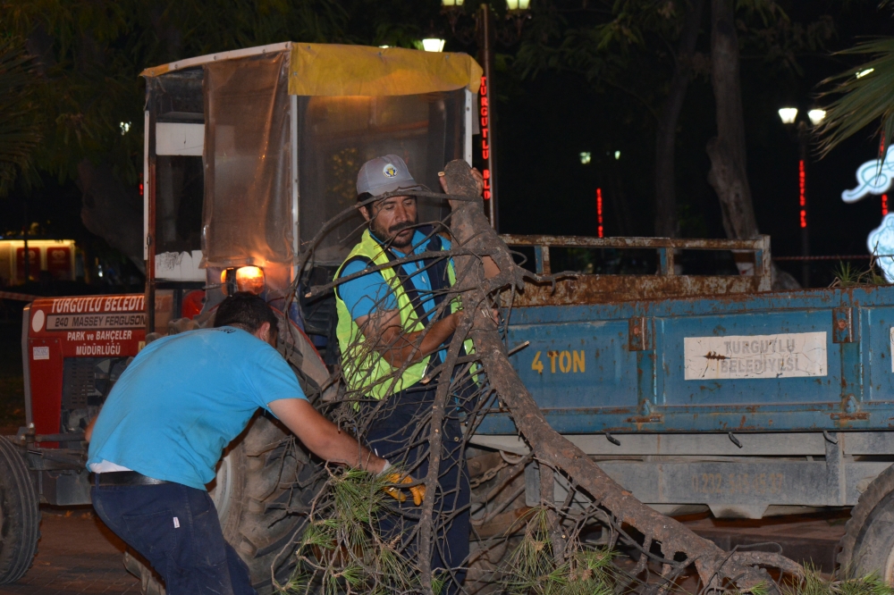 Manisa'da şiddetli rüzgar nedeniyle yan yatan 80 yıllık çam ağacı kesildi