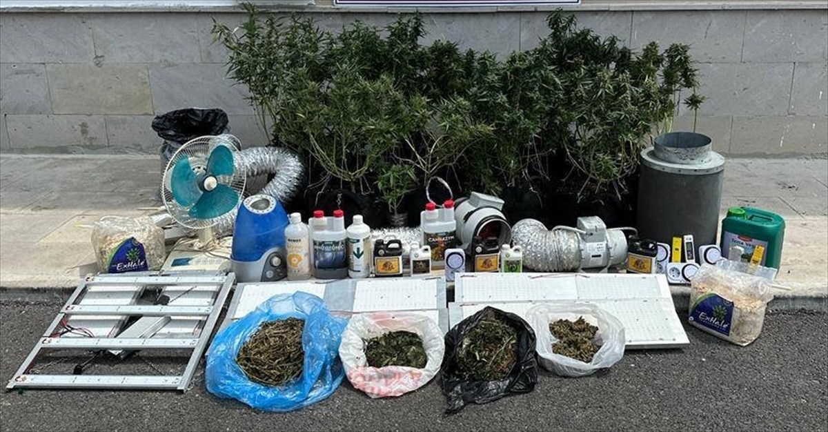 ADANA - Eve kurdukları sistemle uyuşturucu yetiştiren 4 zanlı yakalandı