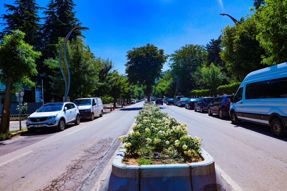 Afyonkarahisar'da ormanlık alanlarda ateş yakmak 30 Eylül'e kadar yasaklandı
