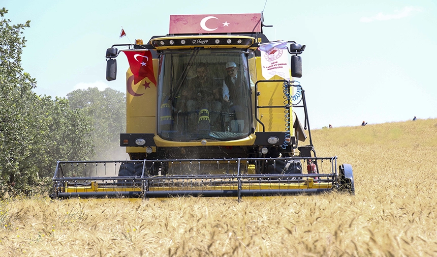 70 Bin Hektar Alanda Buğday Hasadı Başladı