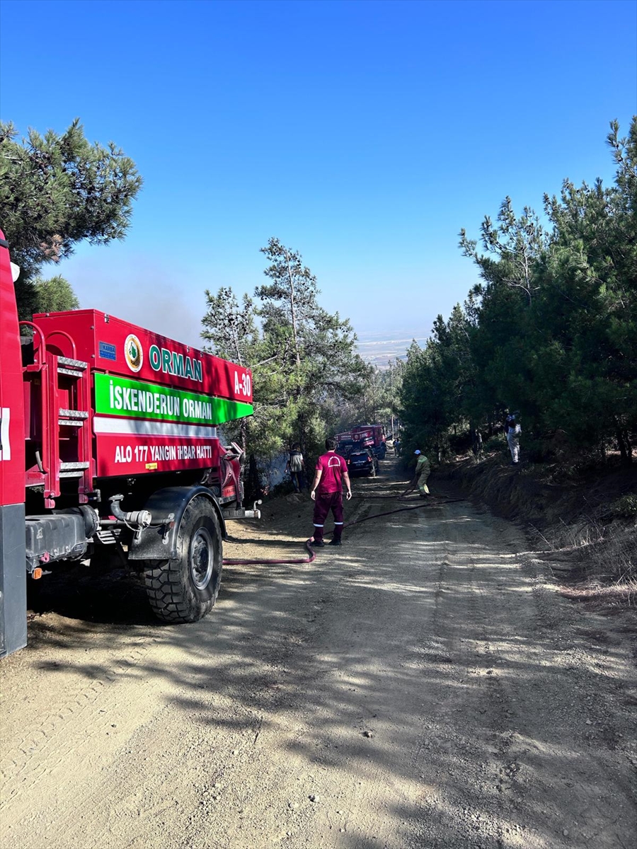 HATAY - Belen'de çıkan orman yangını söndürüldü