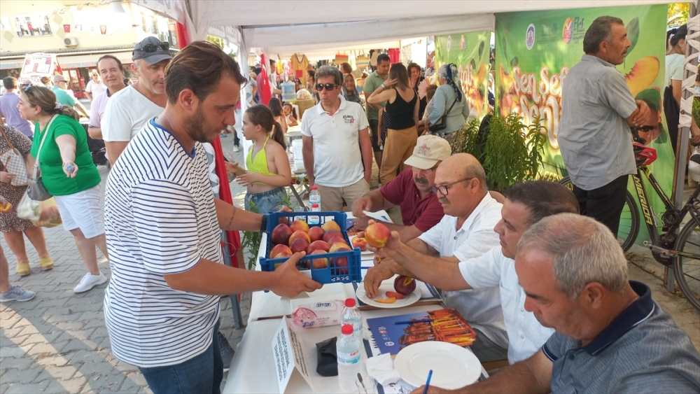 Selçuk'ta "Şen Şeftali Şenliği" yapıldı