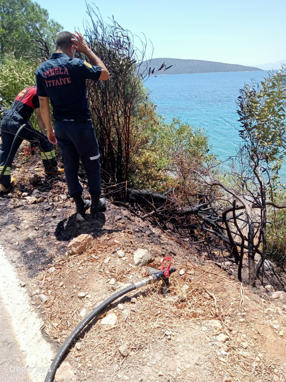 Bodrum'da yangın çıkardığı iddia edilen şüpheli gözaltına alındı