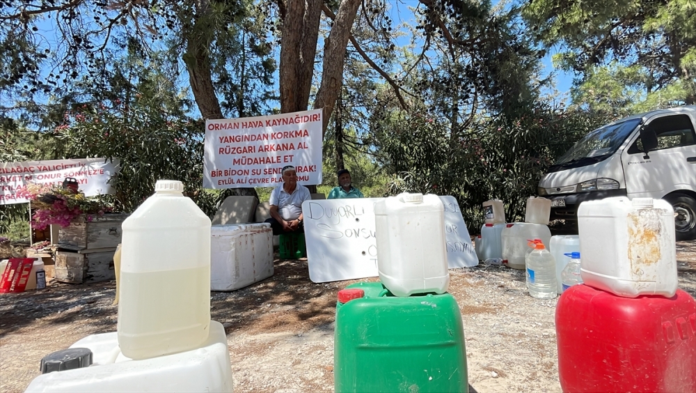 Bodrum'da yöresel sanatçı orman yangınlarına karşı kurduğu stantta farkındalık oluşturmaya çalışıyor