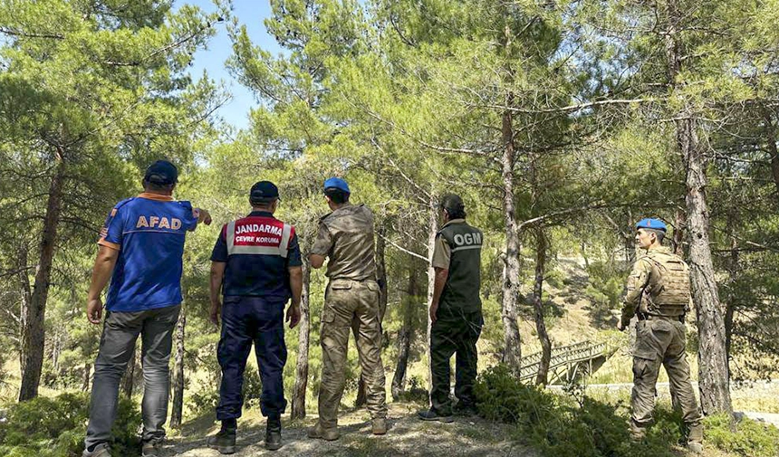 Jandarma Orman Yangınlarına Karşı Devriyelerini Sıklaştırdı