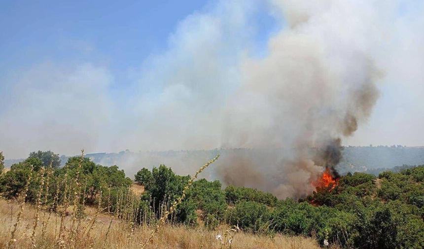 Meşelik Alanda Çıkan Yangın Hasara Neden Oldu