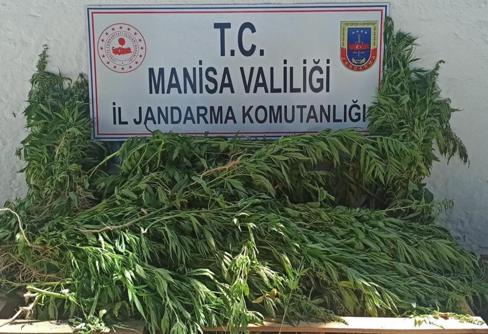 Manisa'da uyuşturucu operasyonunda 2 şüpheli gözaltına alındı