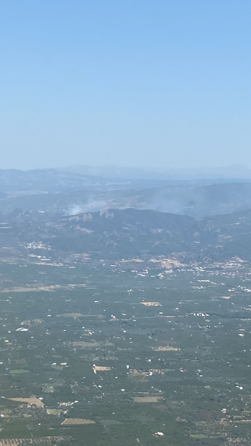 İzmir'in Kemalpaşa ve Menemen ilçelerinde orman yangını çıktı