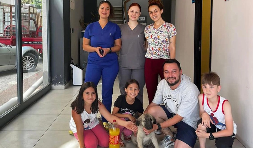 Üç Kahraman Çocuk, Limonata Satarak Yavru Köpeğin Hayatını Kurtardı!