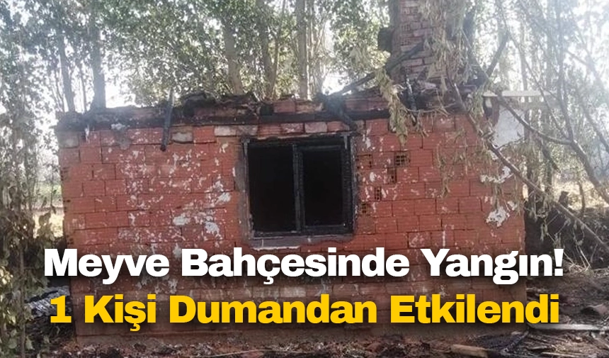 Uşak'ta Meyve Bahçesinde Yangın Çıktı, Bir Kişi Dumandan Etkilendi