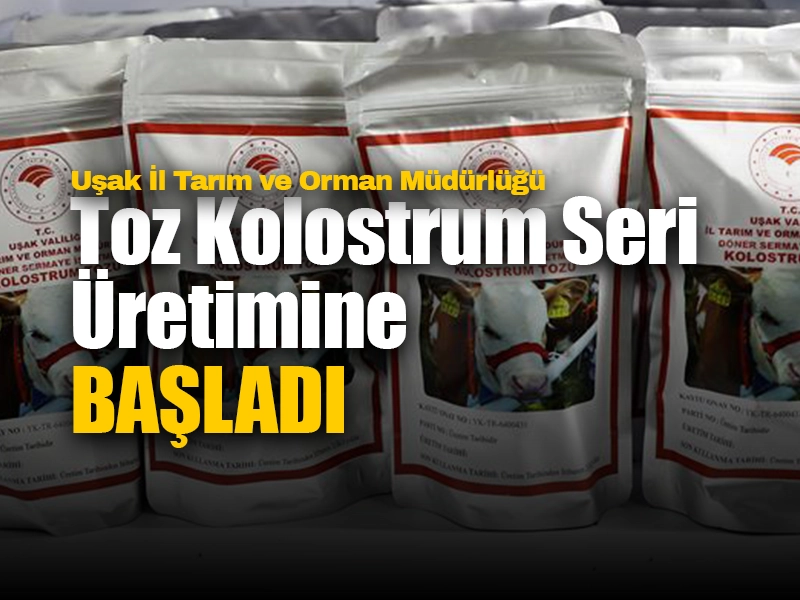Toz Kolostrum Seri Üretimine Başlandı