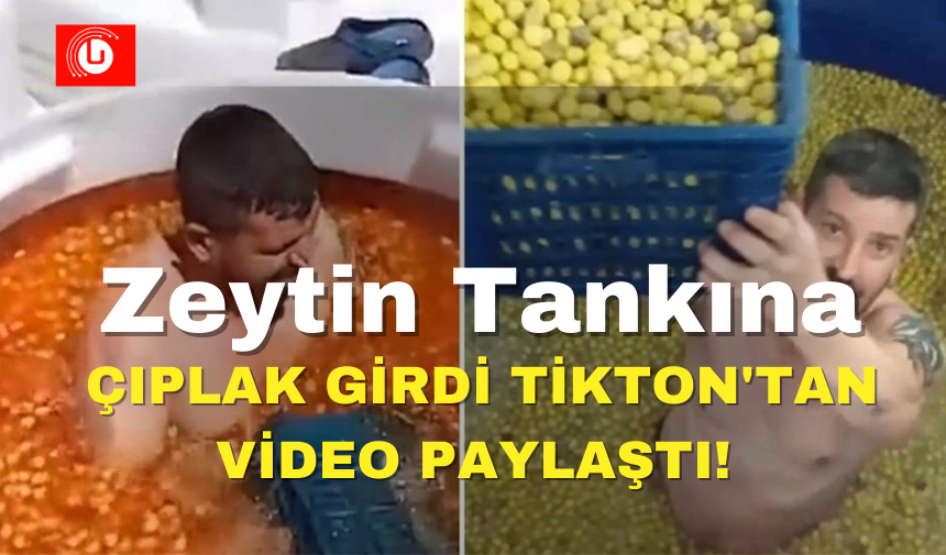 Zeytin Tankına Çıplak  Girdi Tiktok'tan Video Paylaştı!