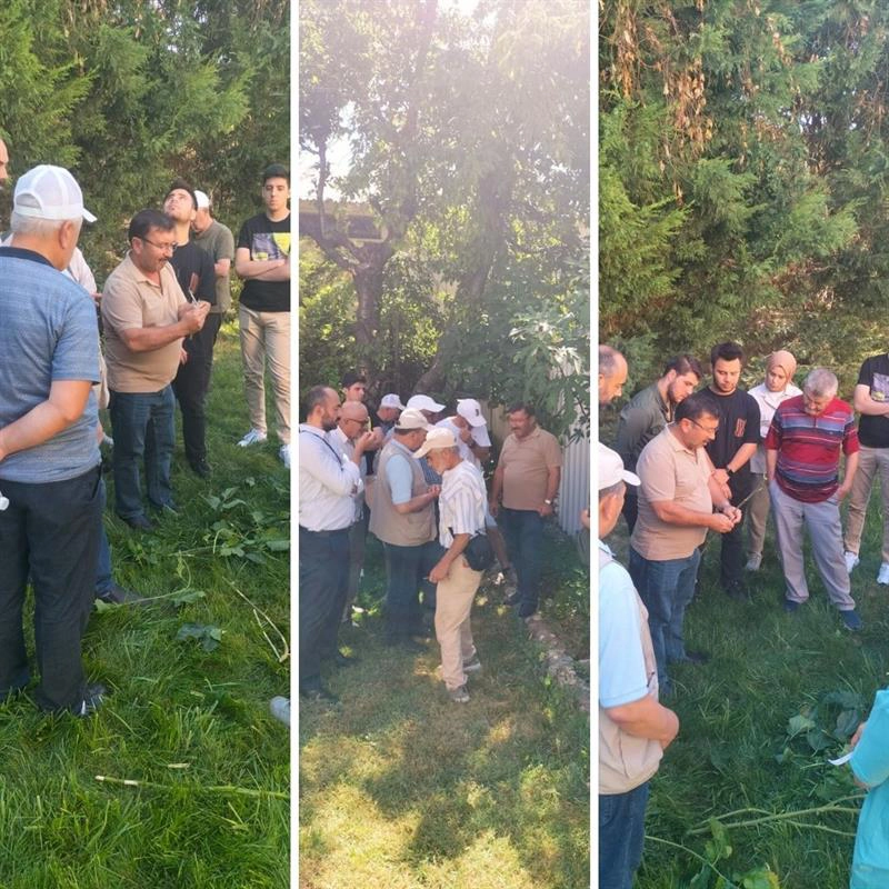 Uşak'ta Meyve üreticileri için aşılama ve meyvecilik eğitimi verildi