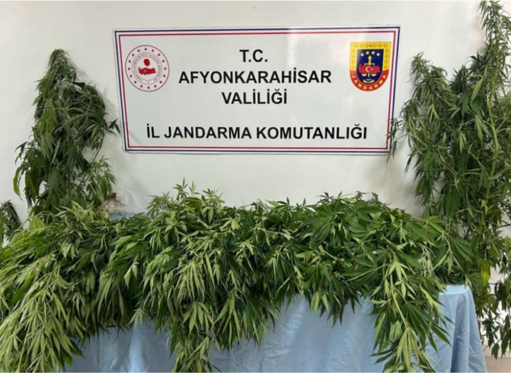Afyonkarahisar'da uyuşturucu operasyonunda 1 kişi yakalandı