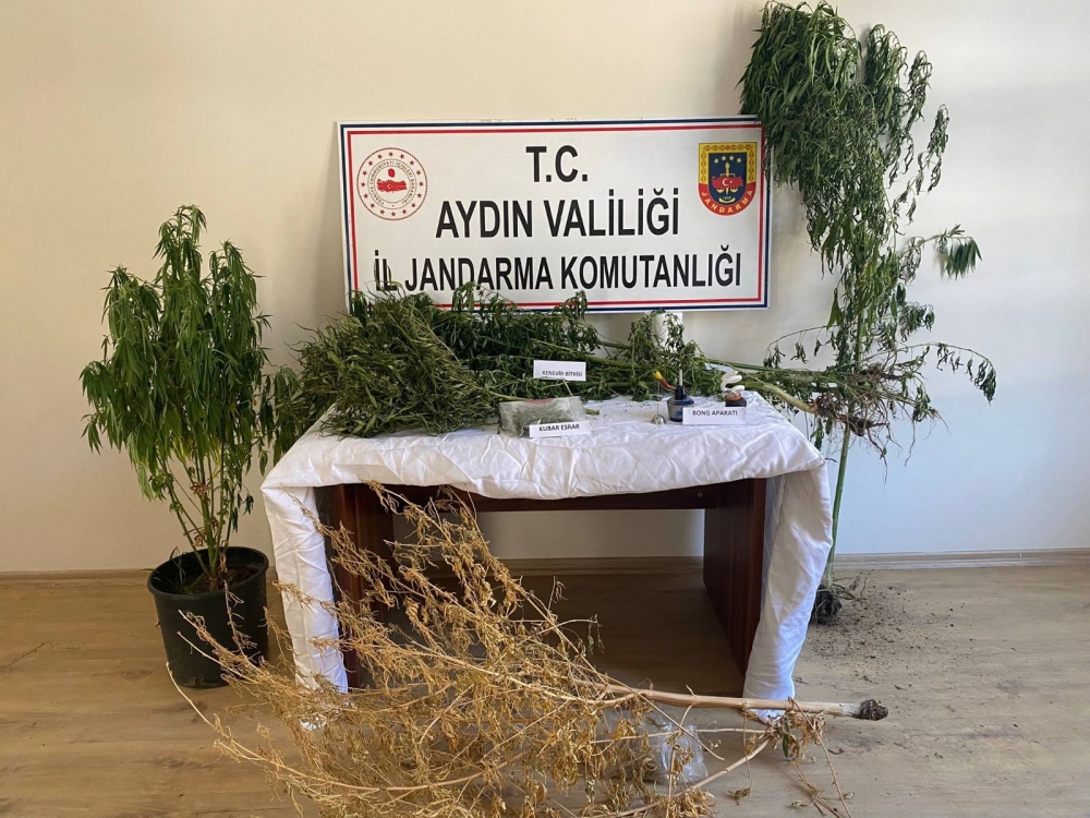 Aydın'da uyuşturucu operasyonunda 26 zanlı yakalandı