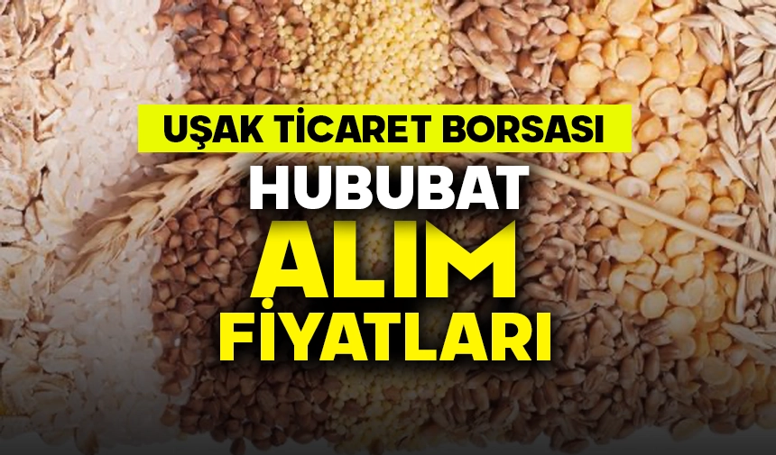 Uşak Ticaret Borsası hububat fiyatları: 7 Ağustos 2023