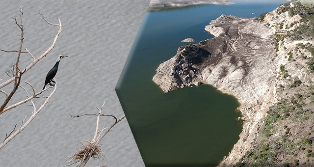 Saklı Cennet'e Kuş Dışkısı Tehdidi