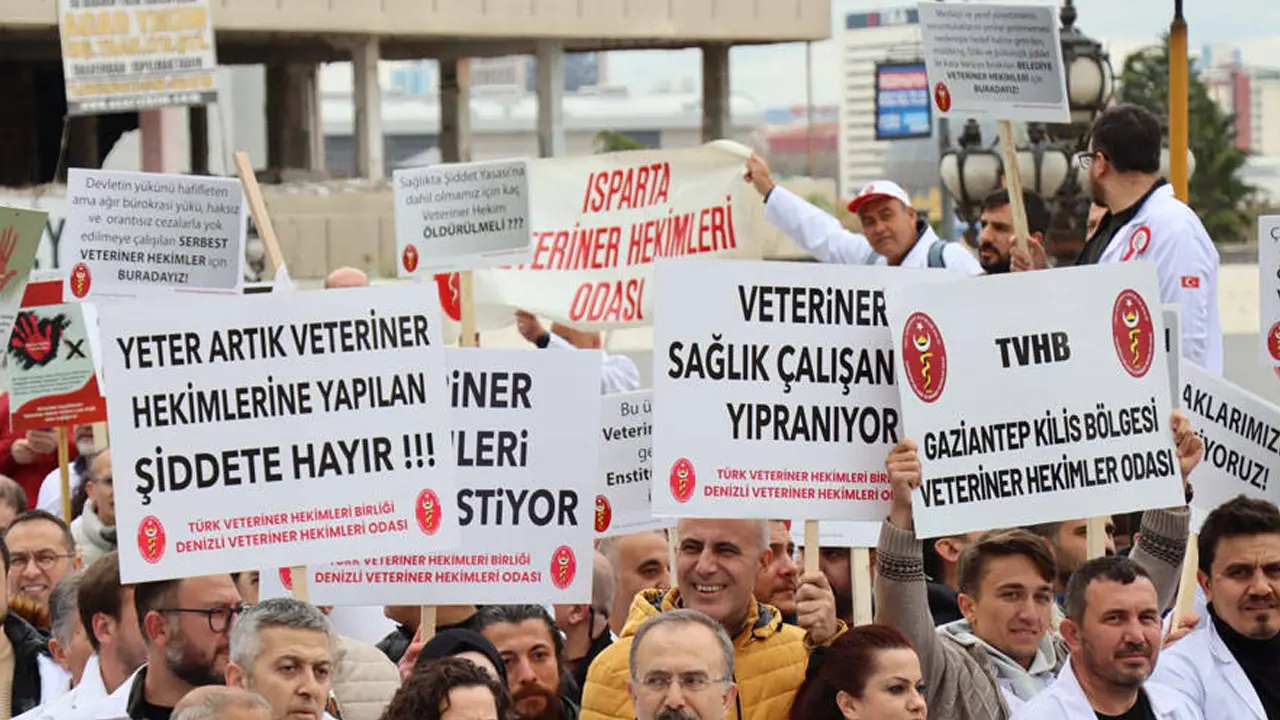 Hayvan Sahipleri Dikkat! Uşak’ta Veteriner Hekimler 21 Ağustos’ta İş Bırakıyor..