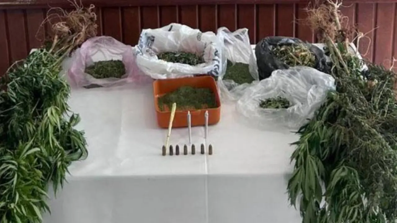 Narkotik Köpeği Çulha Uşak'ta Bir Evde 700 Gram Esrar Buldu!