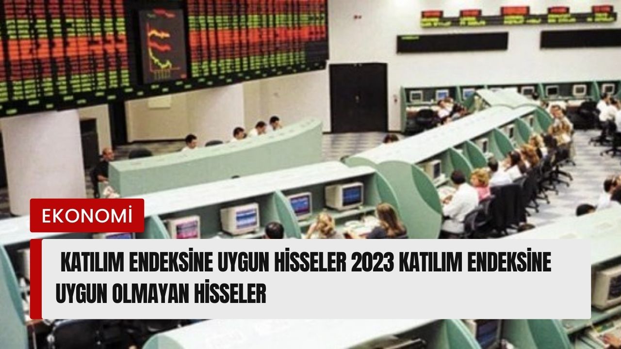 Katılım endeksine uygun hisseler 2023 Katılım endeksine uygun olmayan hisseler
