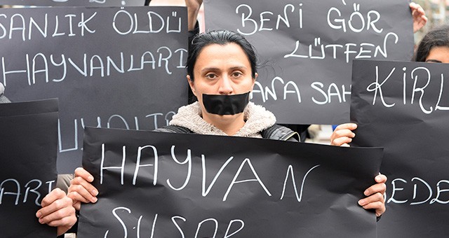 Uşak'ta hayvanseverlerden sessiz protesto