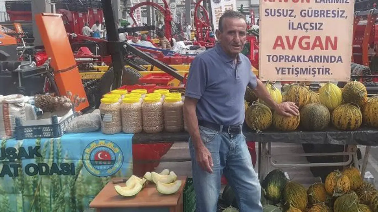 Gazeteciliği Bıraktı Susuz, Gübresiz, İlaçsız Kavun Yetiştiriyor..
