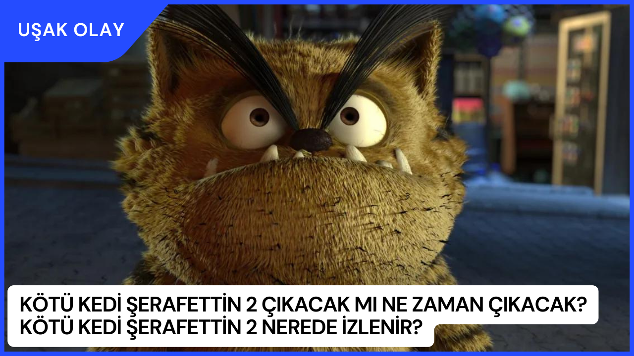 Kötü Kedi Şerafettin 2 Çıkacak mı Ne Zaman Çıkacak? Kötü Kedi Şerafettin 2 Nerede İzlenir?